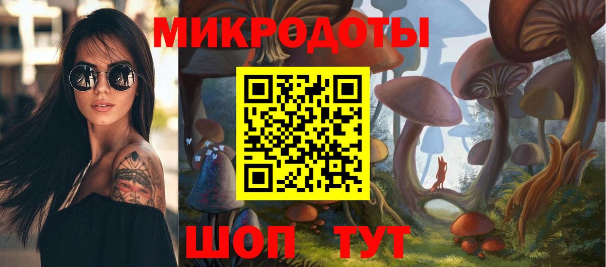 Псилоцибиновые грибы Psilocybine cubensis Североуральск